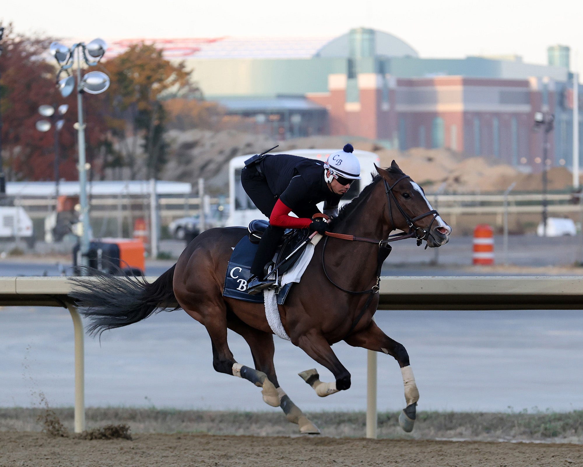 Del Mar Stakes Schedule 2025